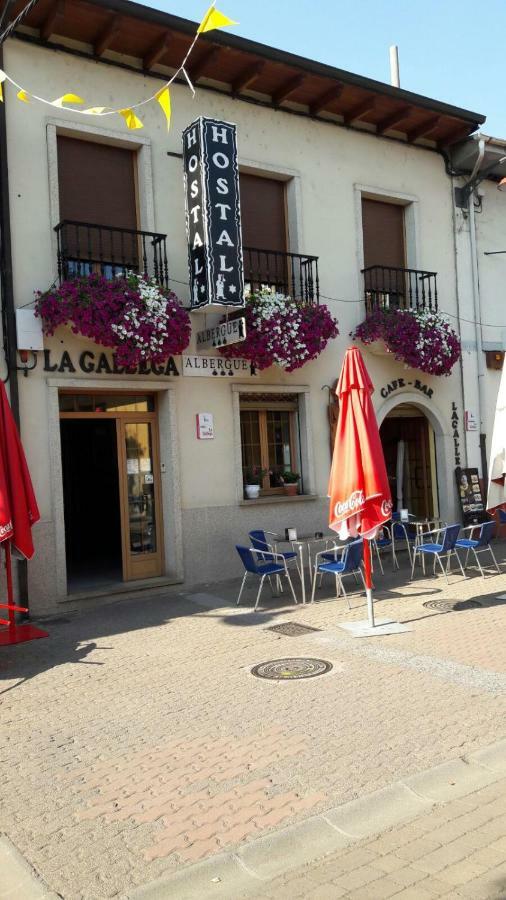 La Gallega كاكابيلوس المظهر الخارجي الصورة